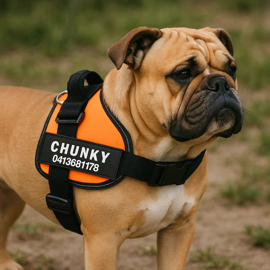 PerfectFit - No Pull Dog Harness